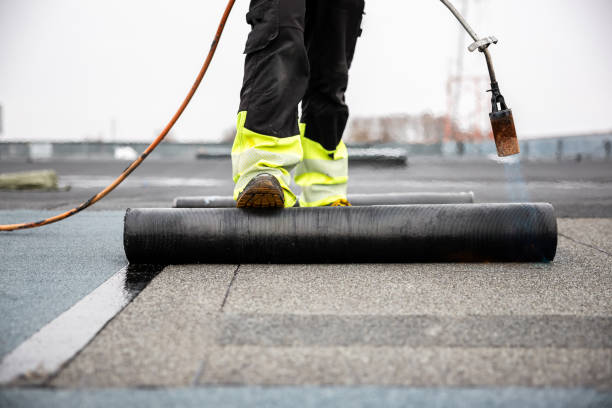 Best Steel Roofing  in Sa De Oro Mount Helix, CA
